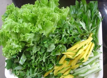 Gỏi cá  gò vấp 